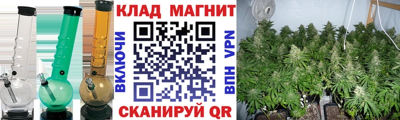 Купить закладку Дегтярск mega tor  Меф мяу мяу  А ПВП  Гашиш  COCAIN 
