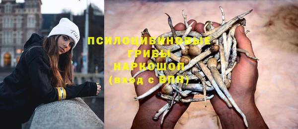 прущая мука Алексин