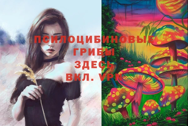 каннабис Алексеевка