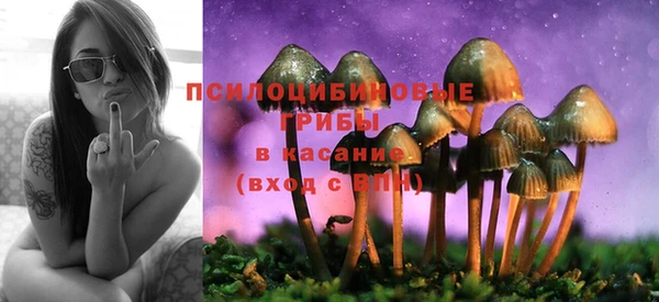 прущая мука Алексин
