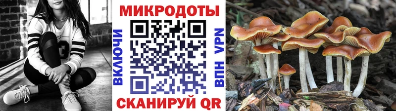 Псилоцибиновые грибы GOLDEN TEACHER  Дегтярск 